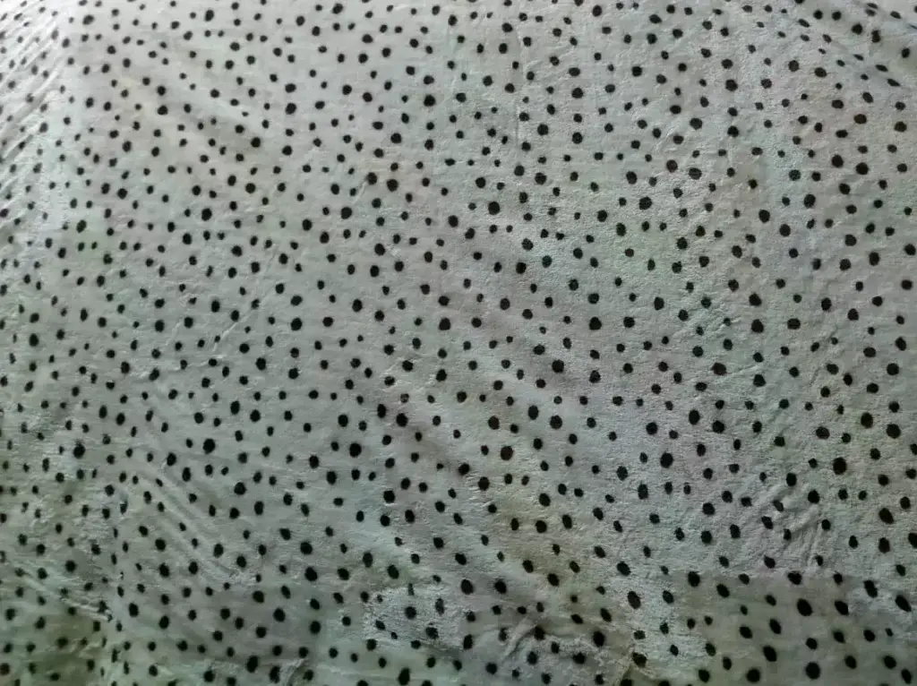 فرو التايجر

