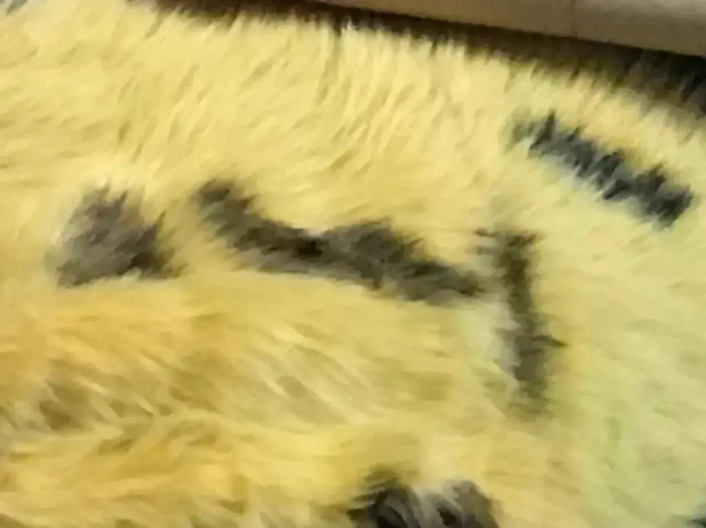 فرو شعرايه طويله