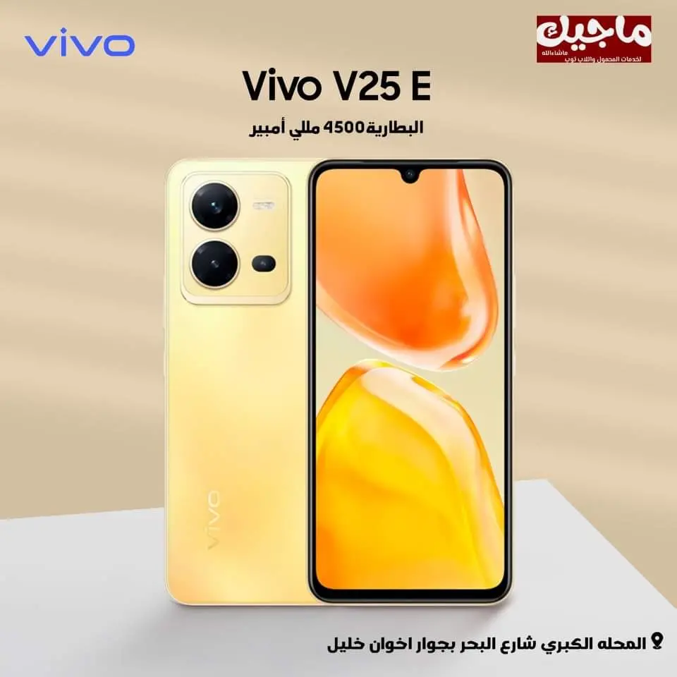 Vivo V25e